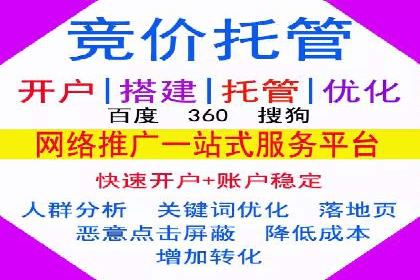 SEM外包策略在电商平台的成功案例